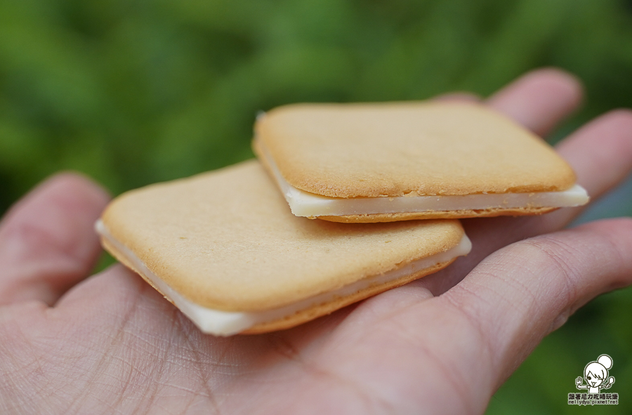  now on Cheese 伴手禮 台南 首度登場 餅乾 起司 起司夾心餅乾 東京車站 排隊人氣