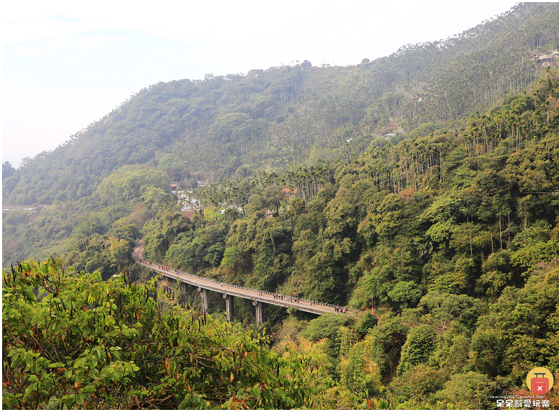 嘉義小百岳！獨立山步道！海拔840公尺！步道超酷穿越阿里山森