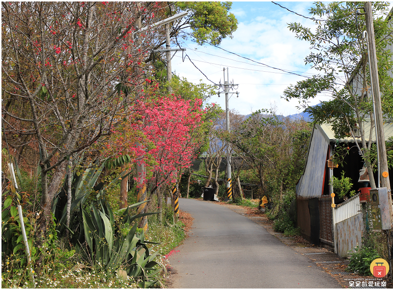 南投景點|望美山獵人古道!遠眺玉山群峰視野極佳!望鄉部落美景 南投景點|望美山獵人古道!遠眺玉山群峰視野極佳!望鄉部落美景