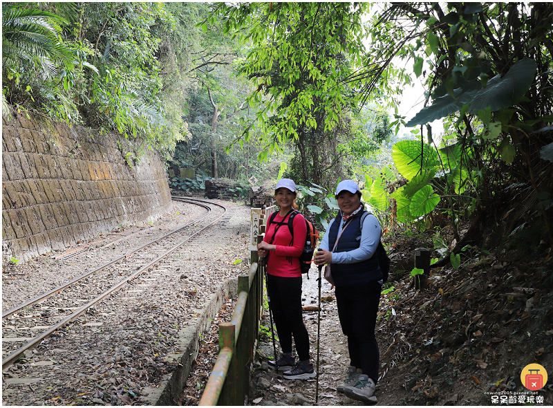 嘉義小百岳！獨立山步道！海拔840公尺！步道超酷穿越阿里山森