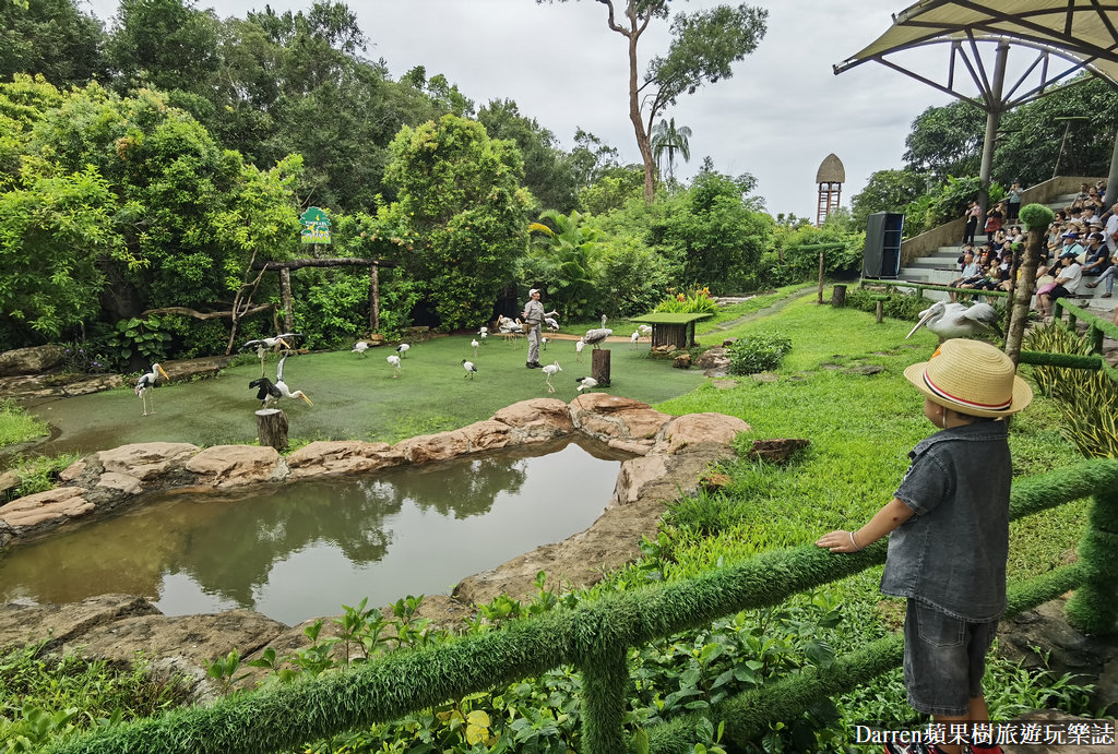 富國島動物園,富國島長頸鹿餐廳,富國島景點,富國島自由行,珍珠野生動物園,越南旅遊,富國島野生動物園