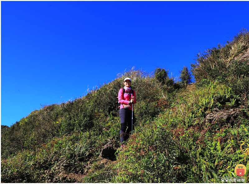 新北景點｜燦光寮山步道！全台視野最威之一等三角點！雪山山脈、