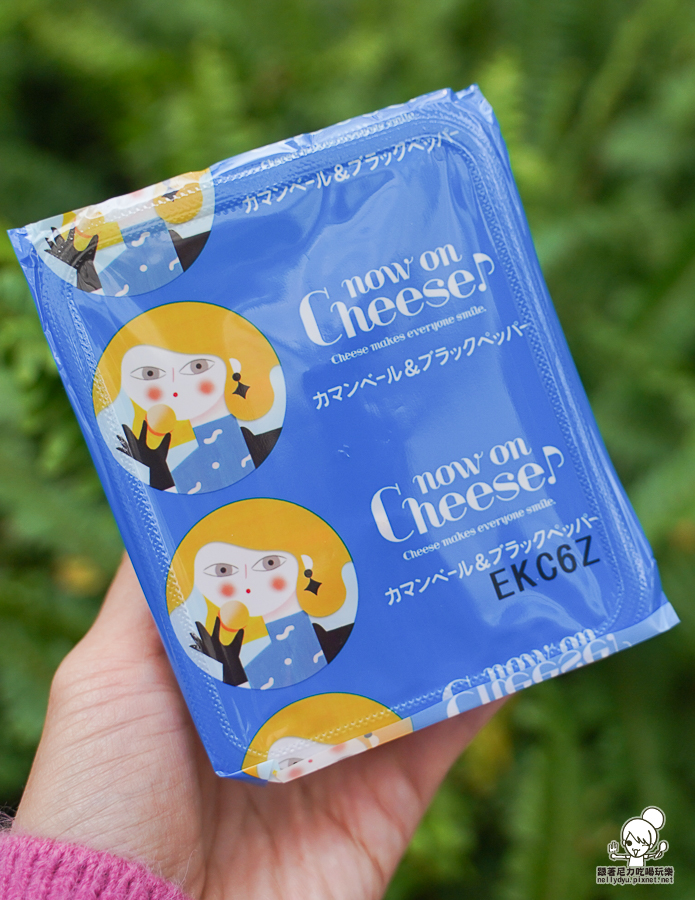  now on Cheese 伴手禮 台南 首度登場 餅乾 起司 起司夾心餅乾 東京車站 排隊人氣