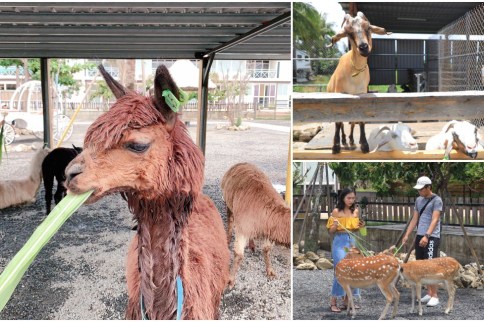 屏東恆春景點｜墾草趣生態園區：墾丁親子旅遊好去處，草泥馬/梅花鹿/羊咩咩餵食趣