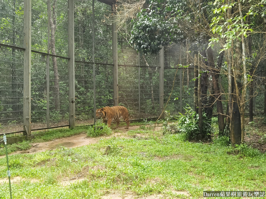 富國島動物園,富國島長頸鹿餐廳,富國島景點,富國島自由行,珍珠野生動物園,越南旅遊,富國島野生動物園