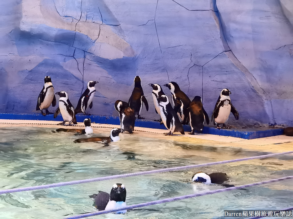 富國島景點,富國島攻略,富國島海龜水族館,富國島珍珠遊樂園,富國島必玩