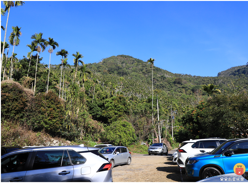 嘉義小百岳！獨立山步道！海拔840公尺！步道超酷穿越阿里山森
