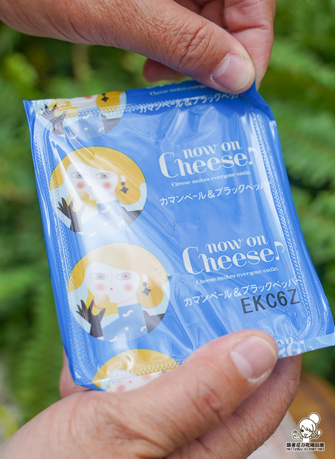  now on Cheese 伴手禮 台南 首度登場 餅乾 起司 起司夾心餅乾 東京車站 排隊人氣