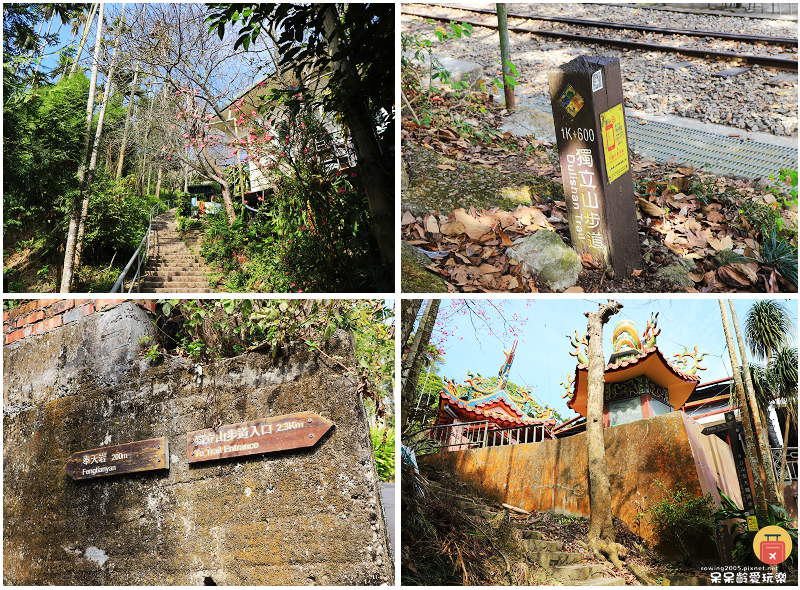 嘉義小百岳！獨立山步道！海拔840公尺！步道超酷穿越阿里山森