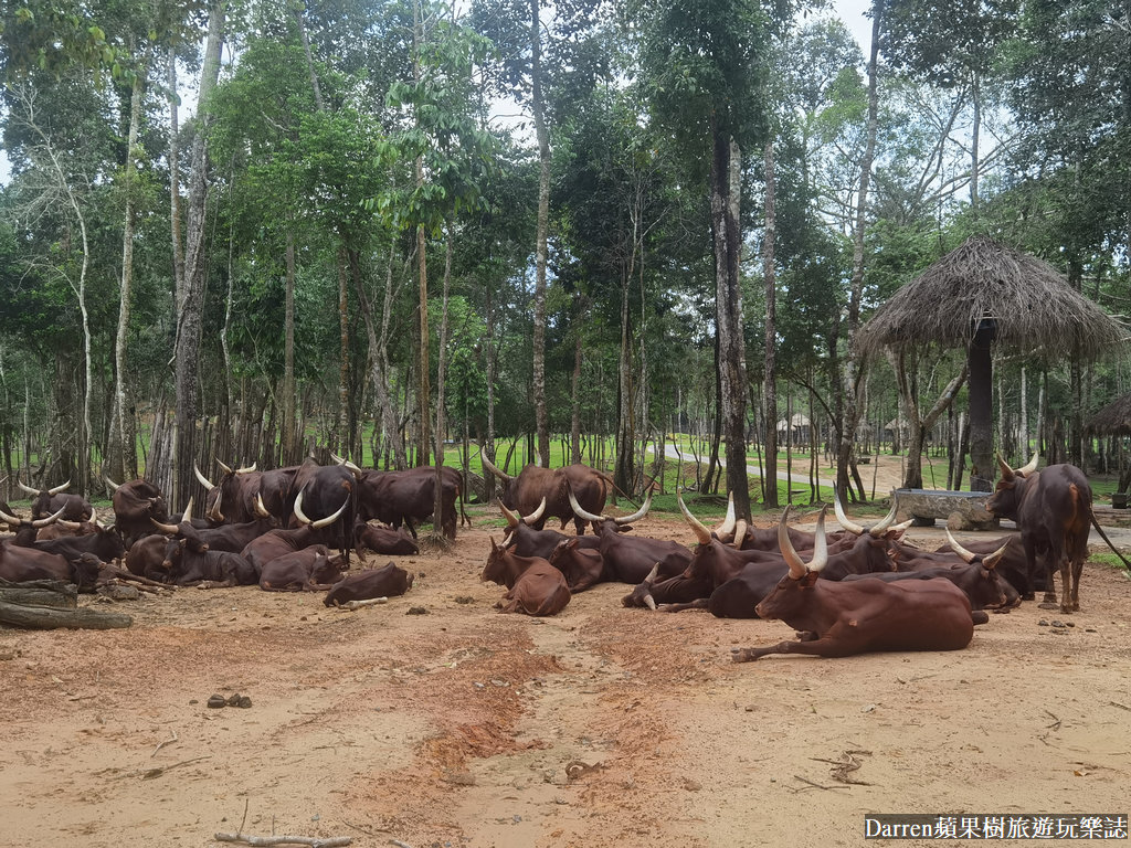 富國島動物園,富國島長頸鹿餐廳,富國島景點,富國島自由行,珍珠野生動物園,越南旅遊,富國島野生動物園