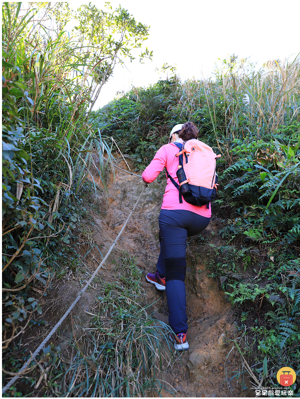 新北景點｜燦光寮山步道！全台視野最威之一等三角點！雪山山脈、
