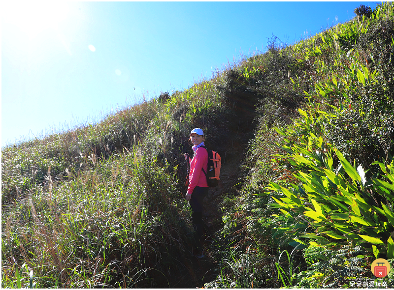 新北景點｜燦光寮山步道！全台視野最威之一等三角點！雪山山脈、