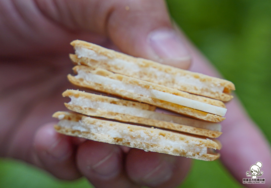  now on Cheese 伴手禮 台南 首度登場 餅乾 起司 起司夾心餅乾 東京車站 排隊人氣