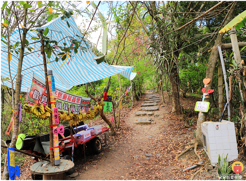 南投景點|望美山獵人古道!遠眺玉山群峰視野極佳!望鄉部落美景 南投景點|望美山獵人古道!遠眺玉山群峰視野極佳!望鄉部落美景