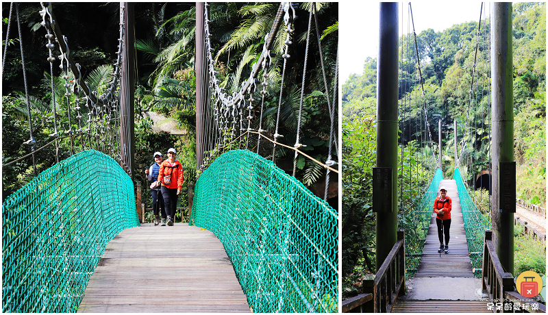 嘉義小百岳！獨立山步道！海拔840公尺！步道超酷穿越阿里山森