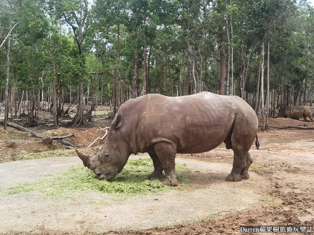 富國島動物園,富國島長頸鹿餐廳,富國島景點,富國島自由行,珍珠野生動物園,越南旅遊,富國島野生動物園