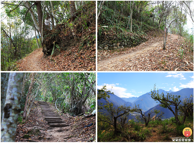 南投景點|望美山獵人古道!遠眺玉山群峰視野極佳!望鄉部落美景 南投景點|望美山獵人古道!遠眺玉山群峰視野極佳!望鄉部落美景