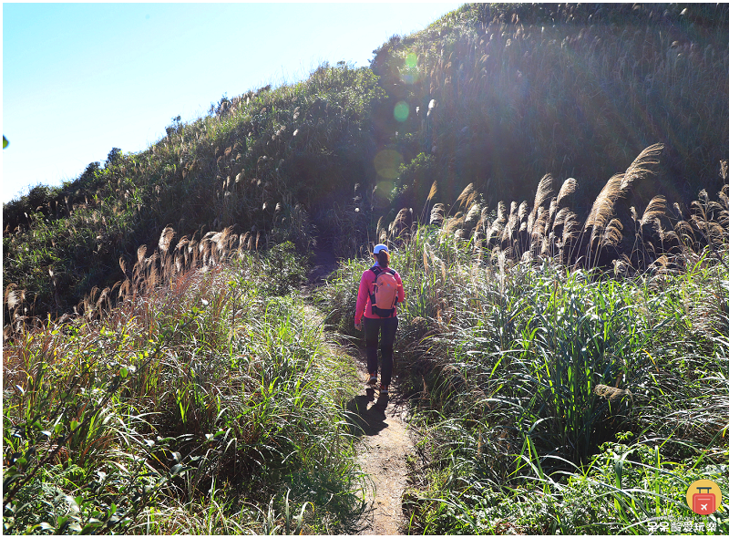 新北景點｜燦光寮山步道！全台視野最威之一等三角點！雪山山脈、