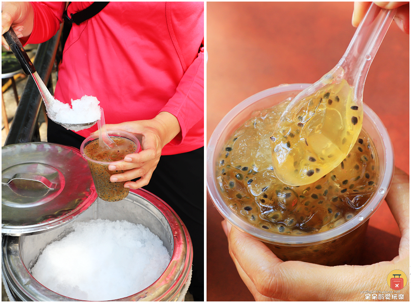 嘉義小百岳！獨立山步道！海拔840公尺！步道超酷穿越阿里山森