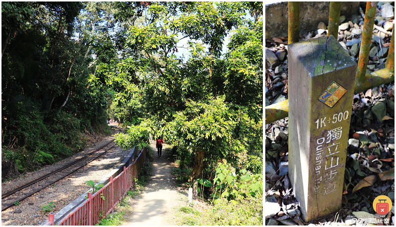 嘉義小百岳！獨立山步道！海拔840公尺！步道超酷穿越阿里山森