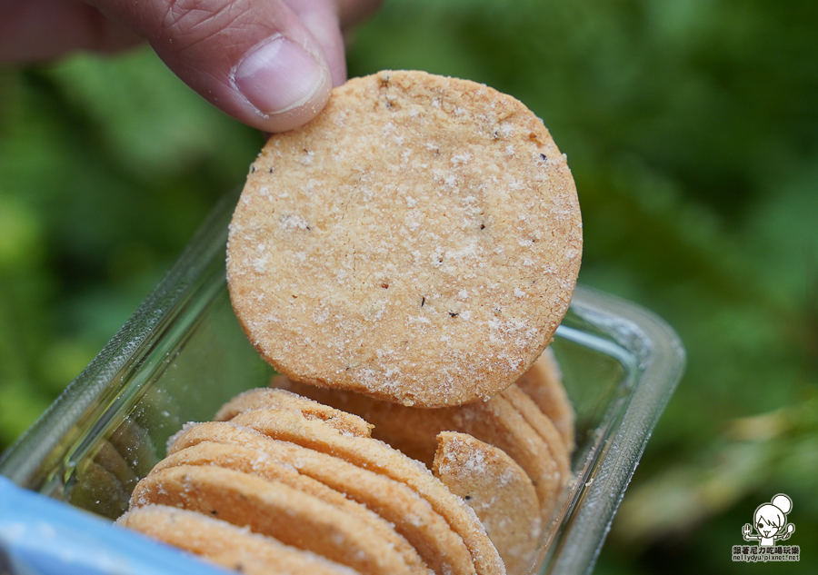  now on Cheese 伴手禮 台南 首度登場 餅乾 起司 起司夾心餅乾 東京車站 排隊人氣