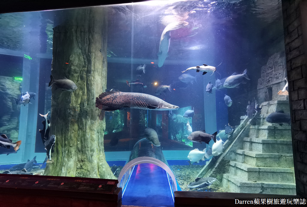 富國島景點,富國島攻略,富國島海龜水族館,富國島珍珠遊樂園,富國島必玩