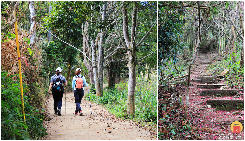 南投景點|望美山獵人古道!遠眺玉山群峰視野極佳!望鄉部落美景 南投景點|望美山獵人古道!遠眺玉山群峰視野極佳!望鄉部落美景