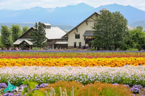 【北海道花田】富田農場(交通Mapcode)：富良野超美薰衣草花田，每年花季時間表