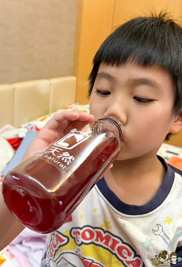品天然 瑞豐夜市必喝 夜市飲料 手搖飲 高雄奶茶 咀嚼系飲料 飲料 好喝 健康 養生 無糖