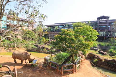 【六福村住宿】六福莊生態渡假旅館：親子房型建議＆動物互動體驗入住心得分享