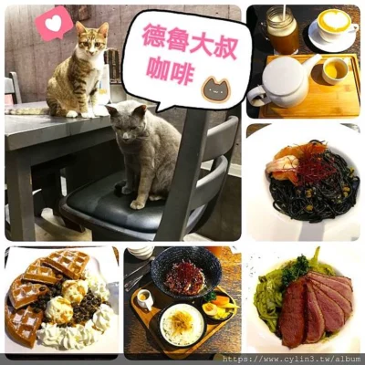 【高雄苓雅區美食】 德魯大叔咖啡館 -鄰近文化中心，有包廂，寵物友善