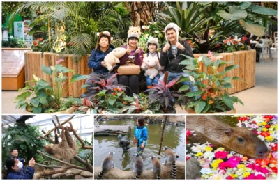 神戶動物王國 ~ 親子旅遊超人氣：水豚君大樹懶互動零距離！