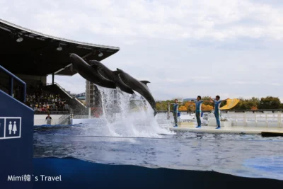 【京都】京都水族館：JR京都站旁親子景點，歡樂海豚秀，當雨天備案也不賴 ~