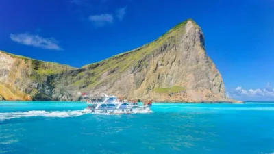 【宜蘭龜山島】登島免申請賞鯨半日遊！尋訪龜山島牛奶海、401高地攻頂＆立槳體驗 ~