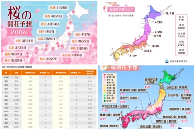 2019日本櫻花開花預測 日本賞櫻最新花開 滿開情報