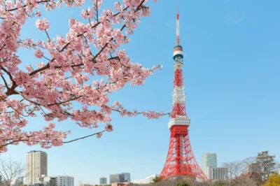 2019東京六大賞櫻名所 網美網帥拍照打卡必訪