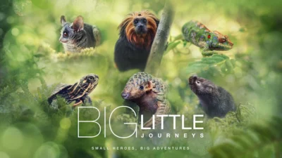BBC Earth/BBC Lifestyle 2024起登陸有線電視基本頻道