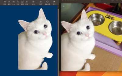 macOS Ventura 新增去背功能: 如何在 Mac 上為照片去背