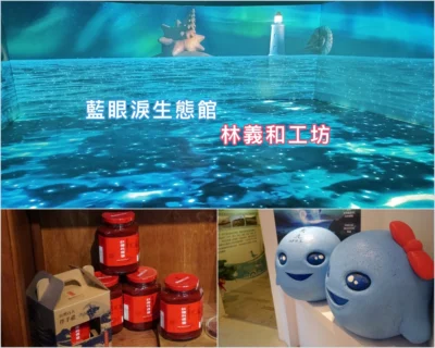 馬祖南竿 林義和工坊 馬祖老酒 DIY 藍眼淚生態館 近距離觀賞真實的藍眼淚