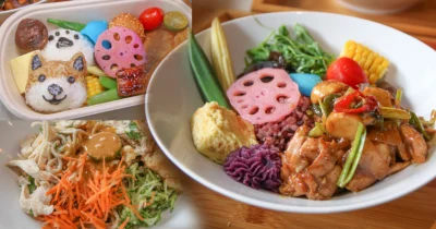 預約搶購限定手做便當，暖暖滋味的新鮮菜色、超萌阿柴飯糰、特色料理美味，還有夏季限定南洋風味蕎麥涼麵 | 好擠私厨餐盒