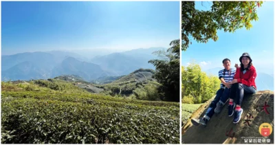 [ 嘉義景點 ]~大尖山步道！小百岳五嶽之一！抹茶翠綠茶園！夢幻竹林小徑！海拔1305公尺！