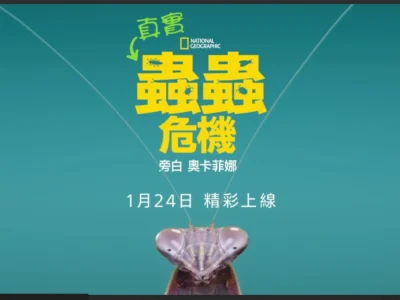 《真實蟲蟲危機》在Disney+  認識蟲蟲們精彩的一生！
