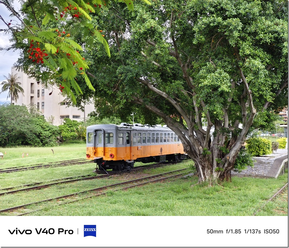 IMG_20240818_073531[5]