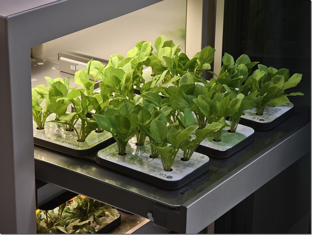 IMG_20240925_115651 IMG_20240925_115651