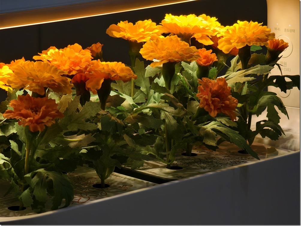 IMG_20240925_115721 IMG_20240925_115721