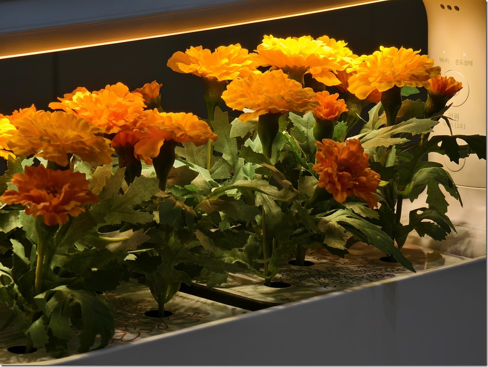 IMG_20240925_115721_1 IMG_20240925_115721_1