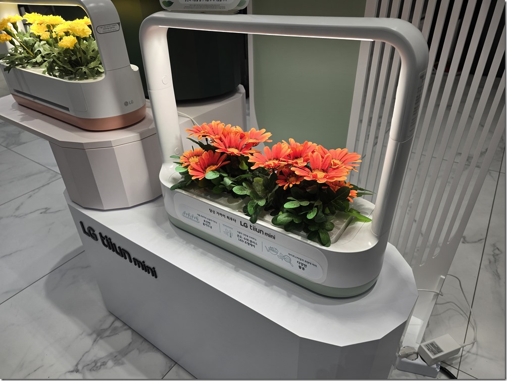 20240925_161222 20240925_161222