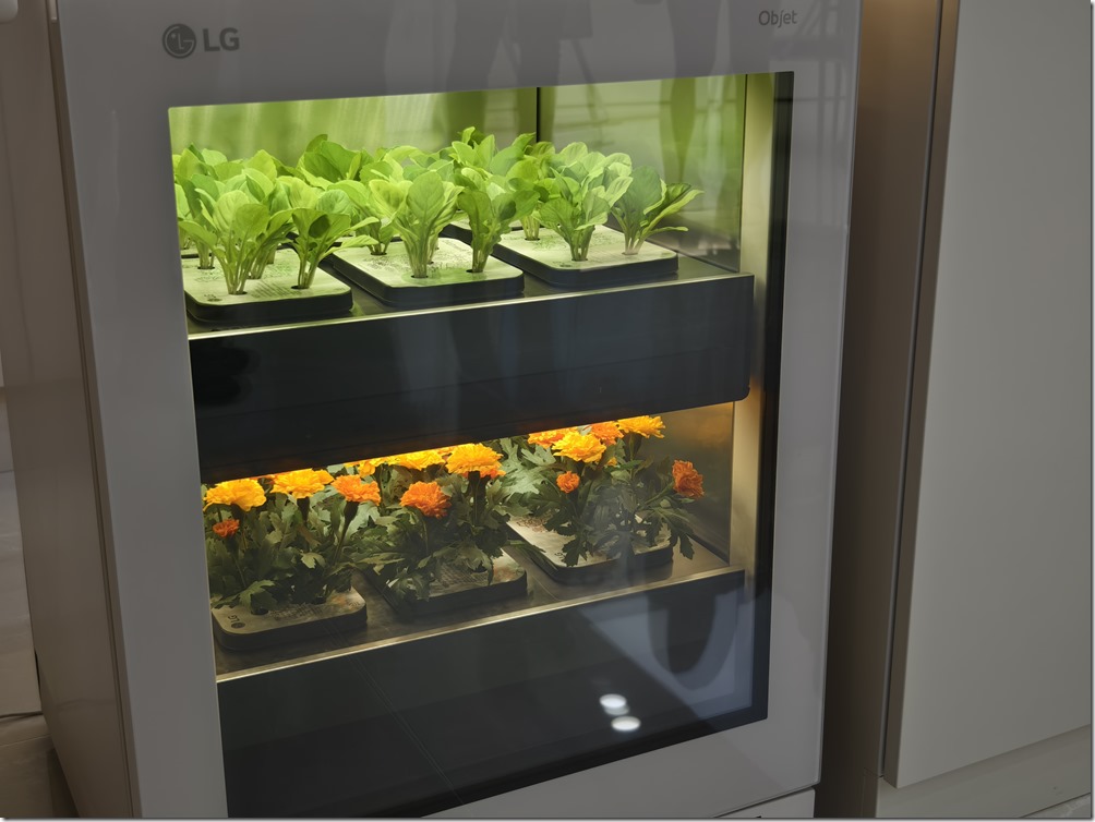 IMG_20240925_115732 IMG_20240925_115732