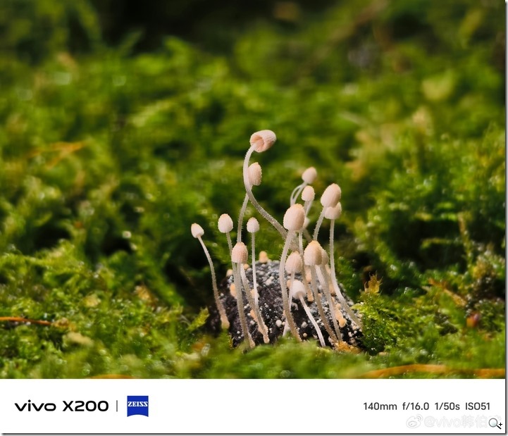 2024093010133031885_ExtraLargeSize-820x615