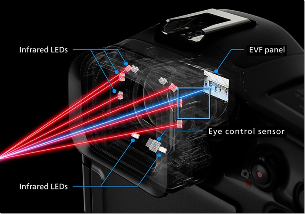 11.EOS R1加入眼球控制自動對焦，該功能透過新的視線偵測光學設計和偵測演算法得到了改進。